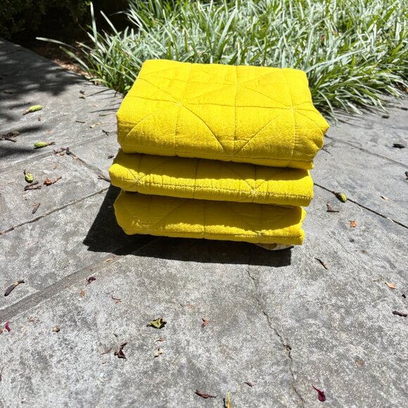 NWOT West Elm Nomad Euro Sham - Picture 4 of 4